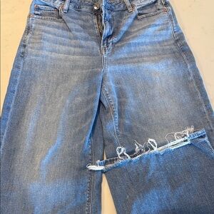 American Eagle Outfitters Blue Wide Leg Jeans